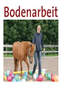 bodenarbeit pferd übungen pdf